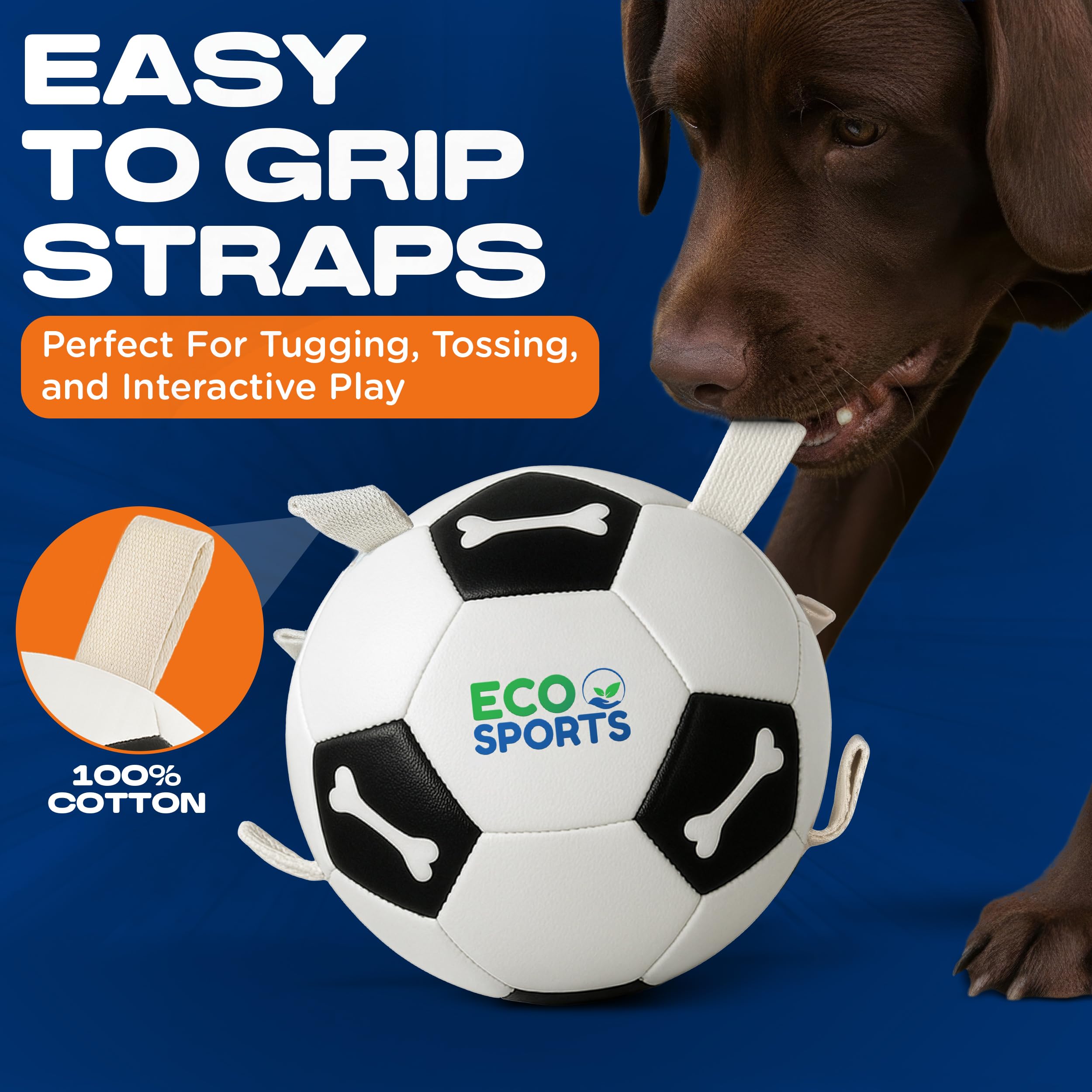 Eco Sports fetch-training ready ball for dogs and owners