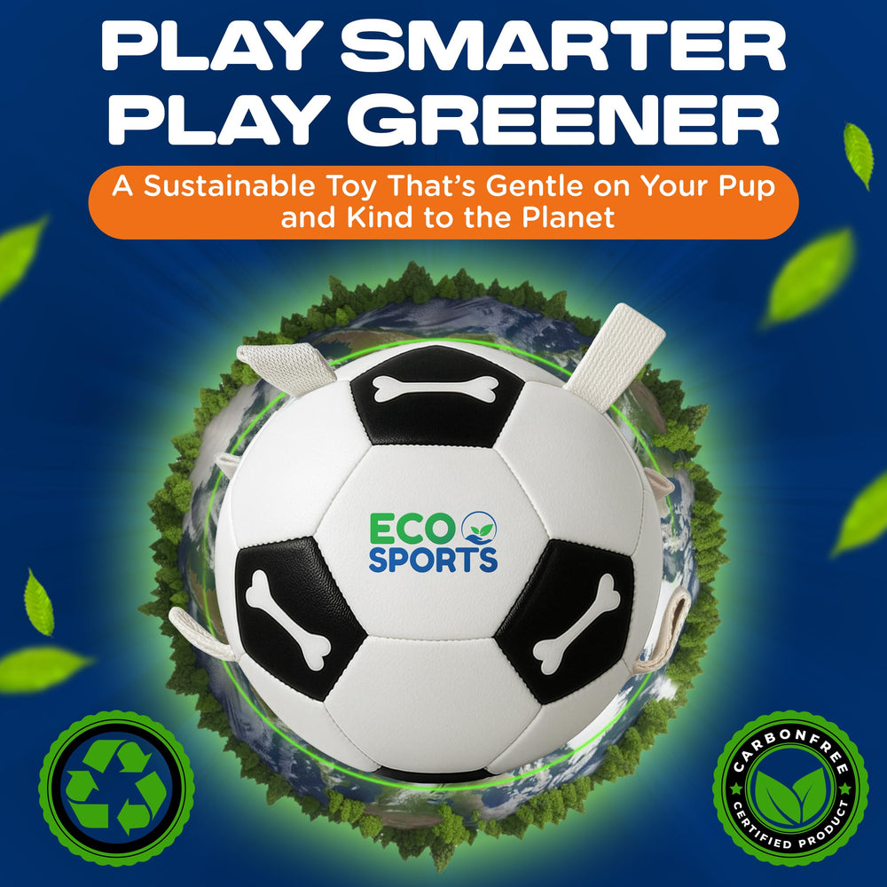 Eco Sports dog ball designed for indoor and outdoor use