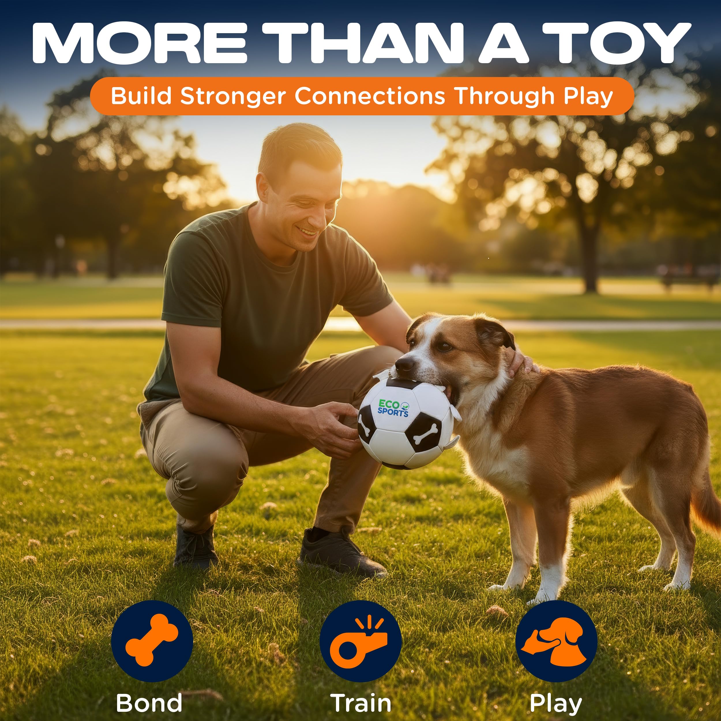 Eco Sports pet gift idea for birthday celebrations and active dogs