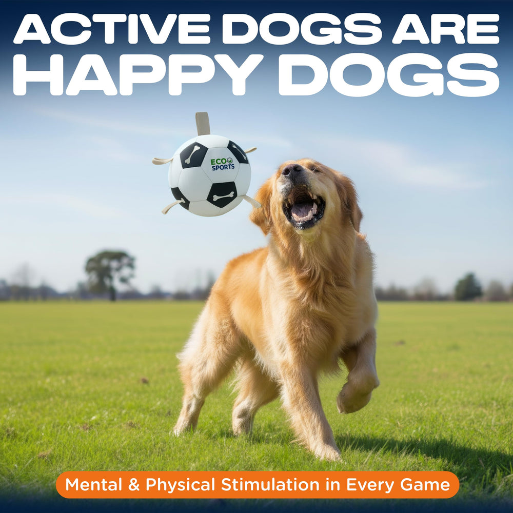 Eco Sports size-2 ball ideal for small breeds and puppies.