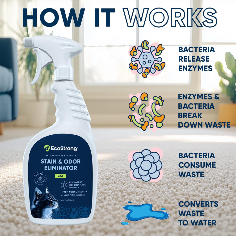 Eco Strong carpet fabric surface cleaner demonstrates versatile stain and odor removal.