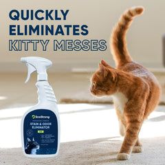 Eco Strong enzyme urine odor neutralizer spray targets odors with enzymatic action.