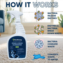 Eco Strong multi-surface-enzyme-cleaner on various surfaces