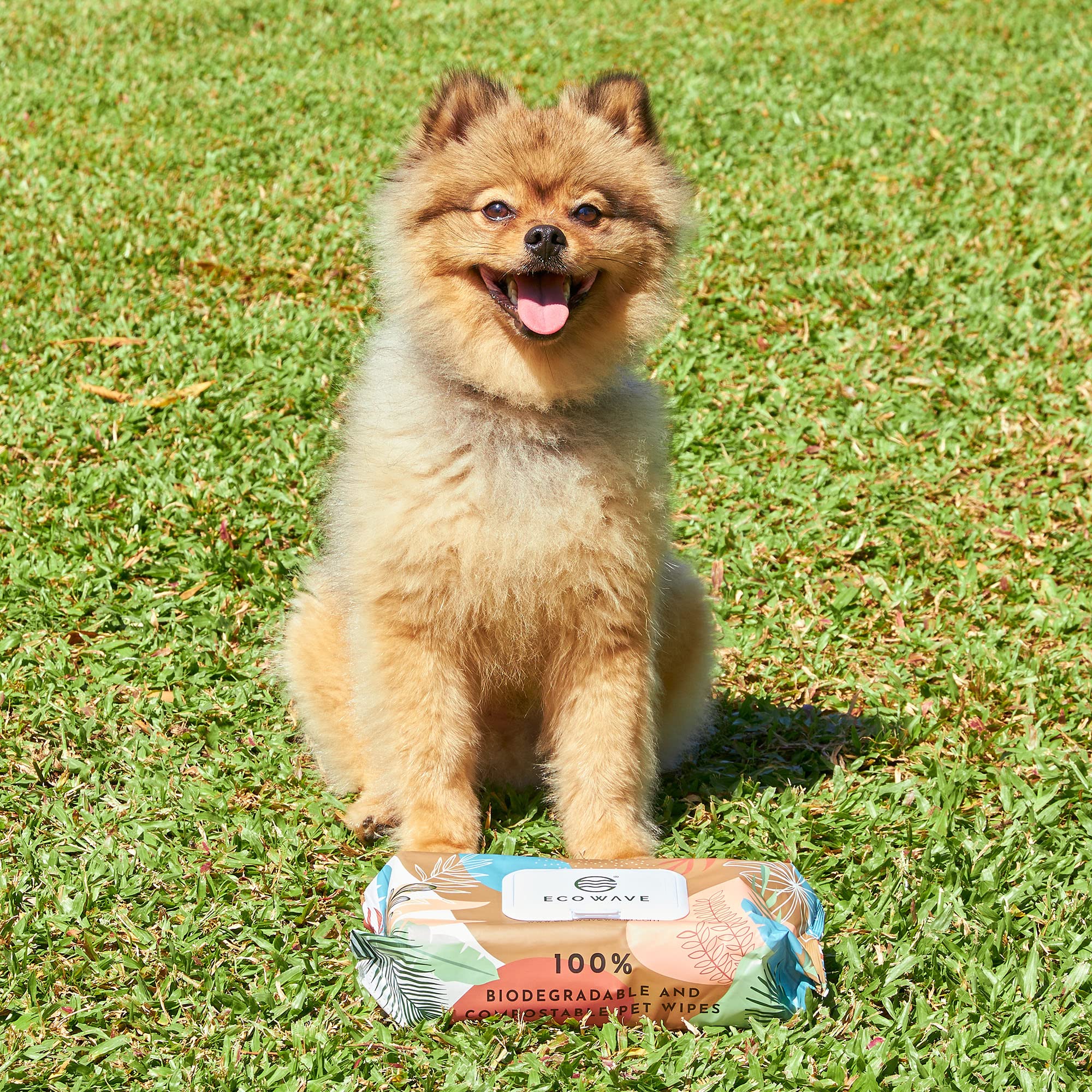 Eco Wave aloe vera-infused wipes—soothing skin and fur