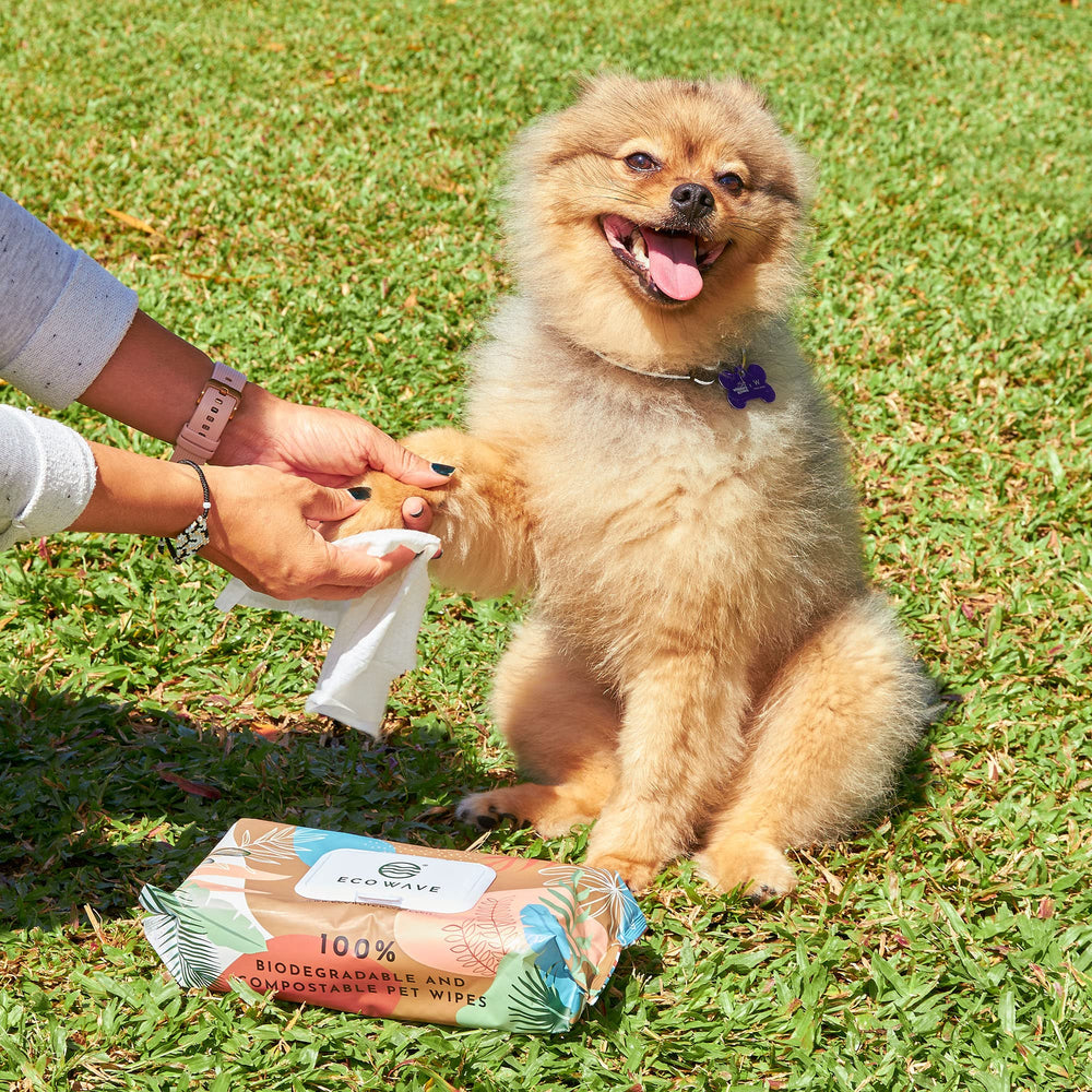 Eco Wave biodegradable dog and cat wipes—eco-friendly care