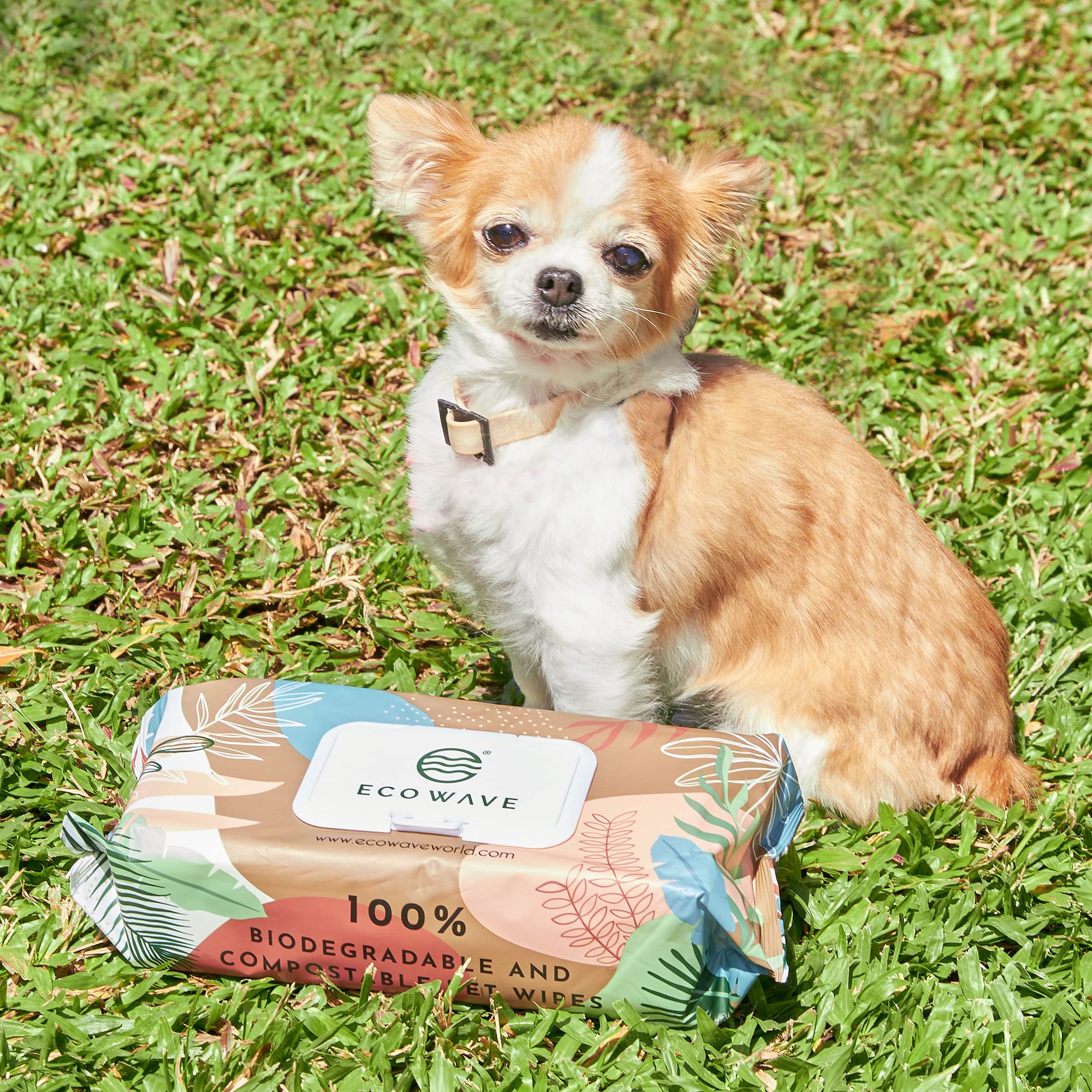 Eco Wave fragrance-free wipes—perfect for sensitive pets