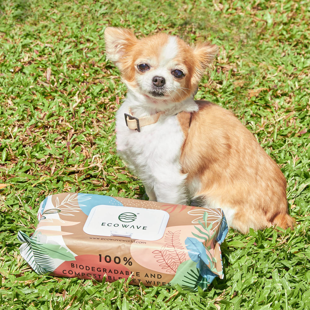 Eco Wave fragrance-free wipes—perfect for sensitive pets
