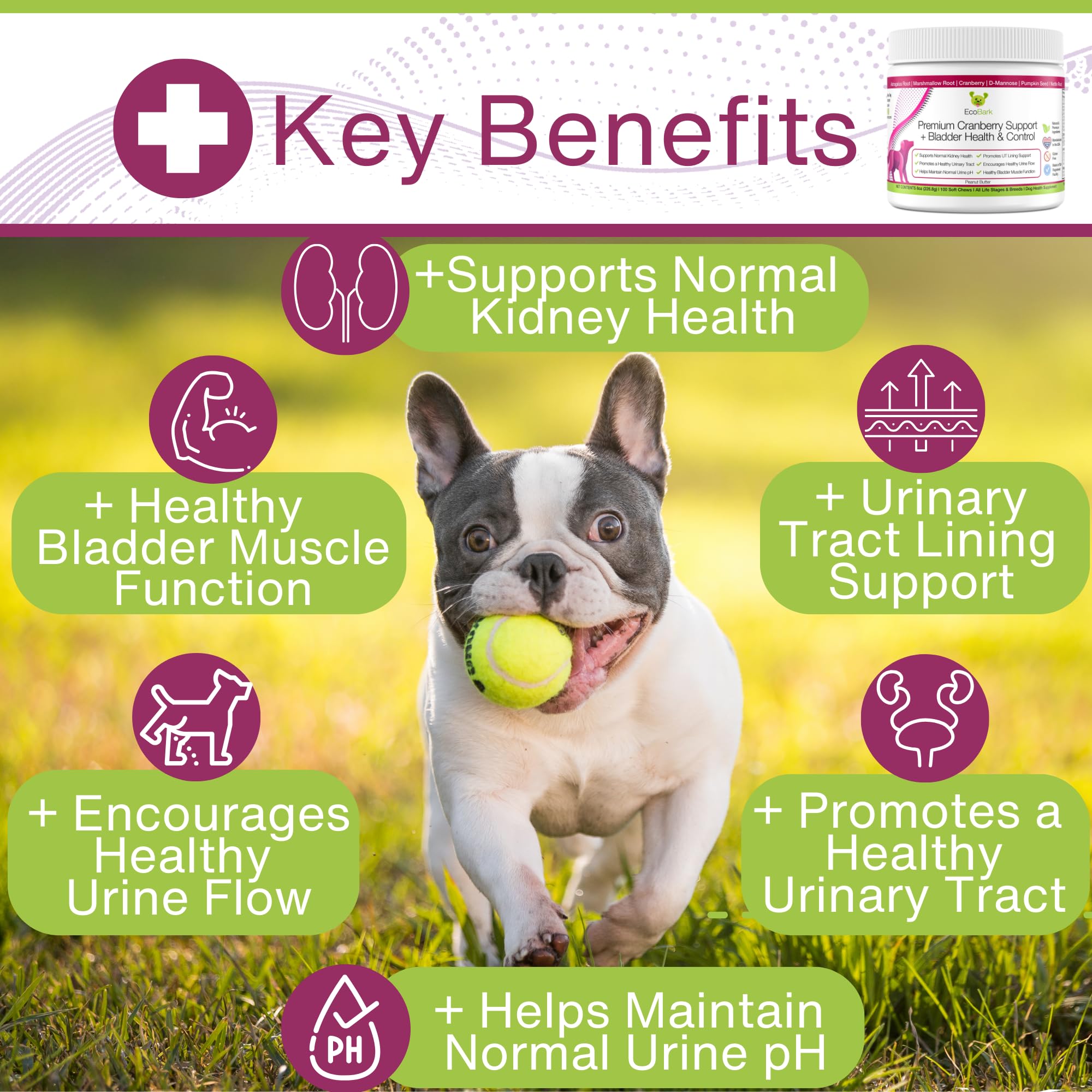 EcoBark cranberry soft chews close-up showing chewy texture for easy kidney support