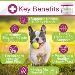 EcoBark cranberry soft chews close-up showing chewy texture for easy kidney support