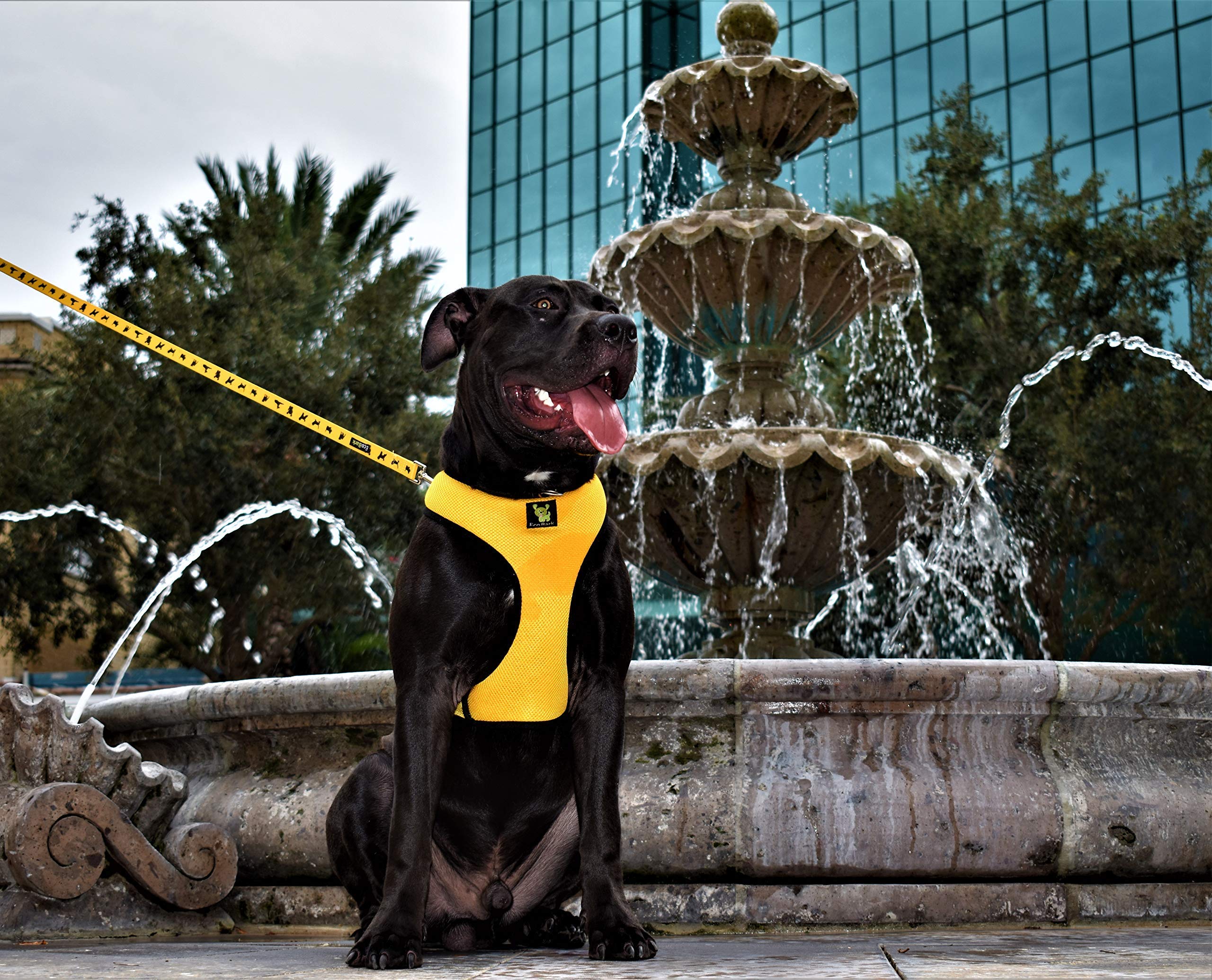 EcoBark Dog Leash with designer patterns for stylish outdoor adventures.