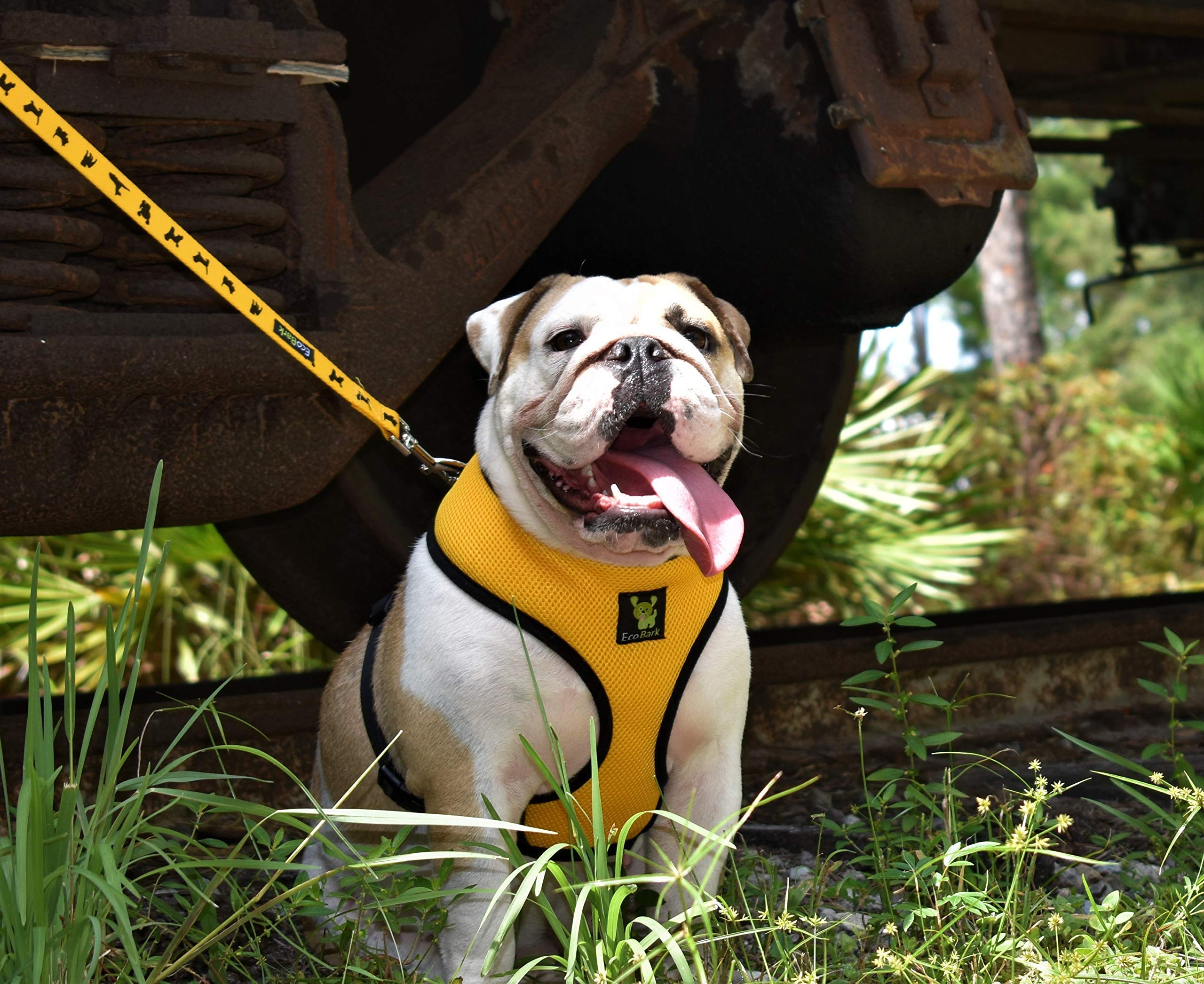 EcoBark Dog Leash ideal for long hikes, built to last.