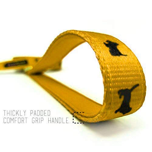 EcoBark Dog Leash designed for small dogs with reliable control.