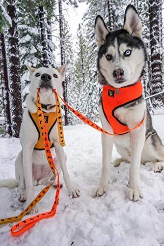 EcoBark orange leash crafted from recycled bottles for eco friendly use.