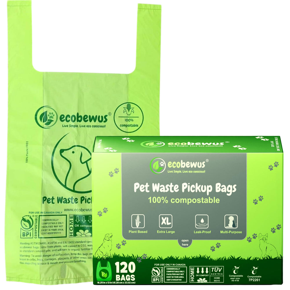ecobewus storage tips emphasize cool, dry conditions to extend shelf life.