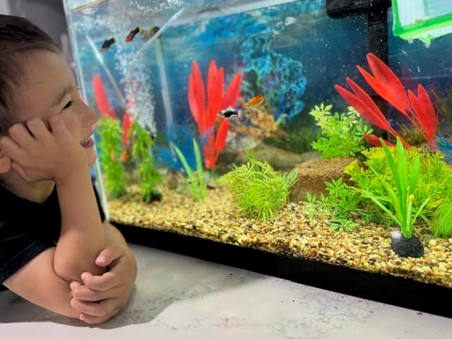 EcoBio-Block is safe for fish and aquatic life during maintenance.