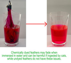 EcoCity no-chemical-dyes feathers illustrate toxin-free play safety.