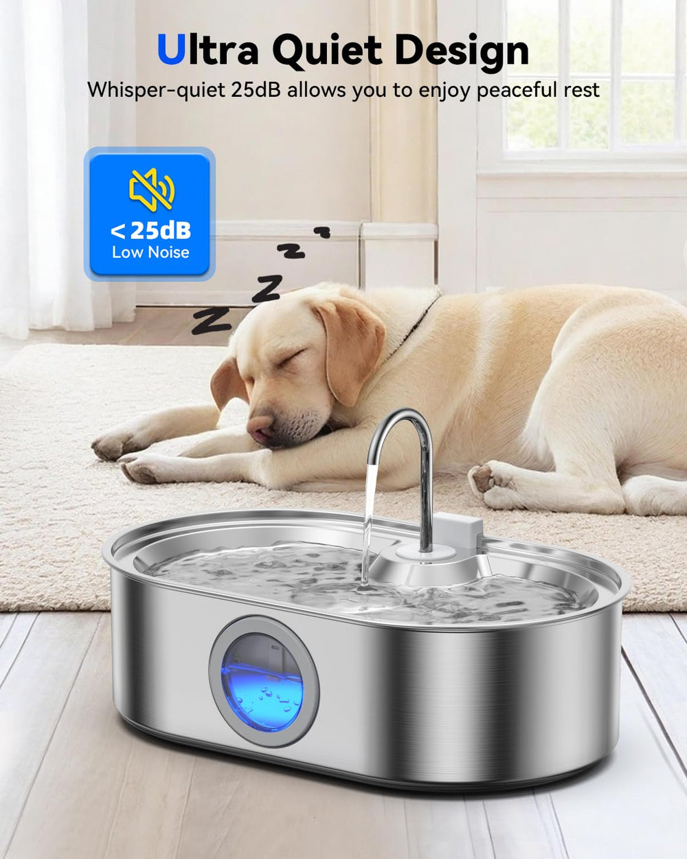 ECOCONUT large-dog drinking area supports shared hydration