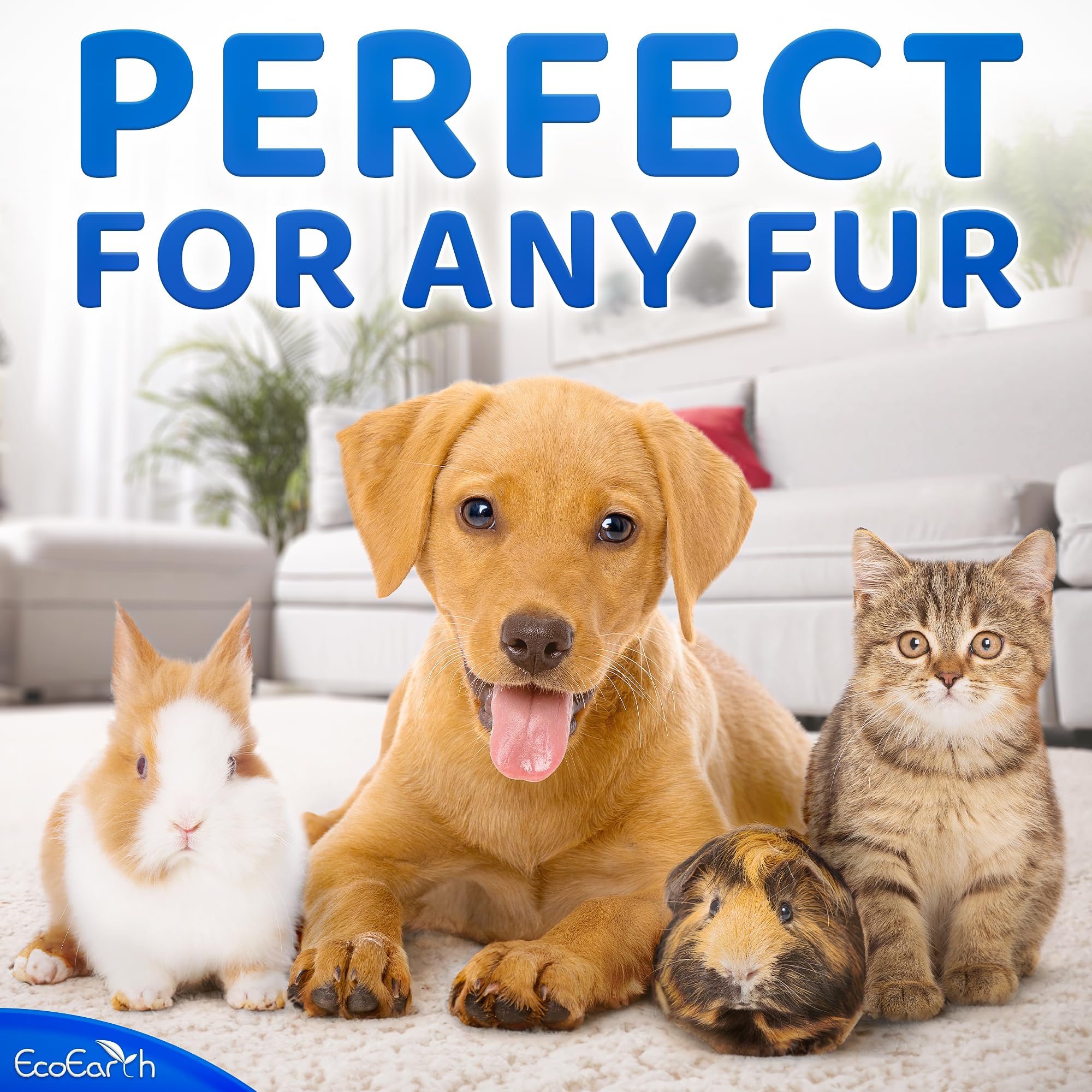 EcoEarth Premium Pet Wipes fur clean — removes dirt and oil while keeping coat comfortable.