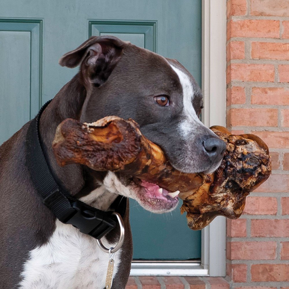EcoKind Large Dog Chew Durable Bone — designed for strong jaws and long boredom-busting sessions.