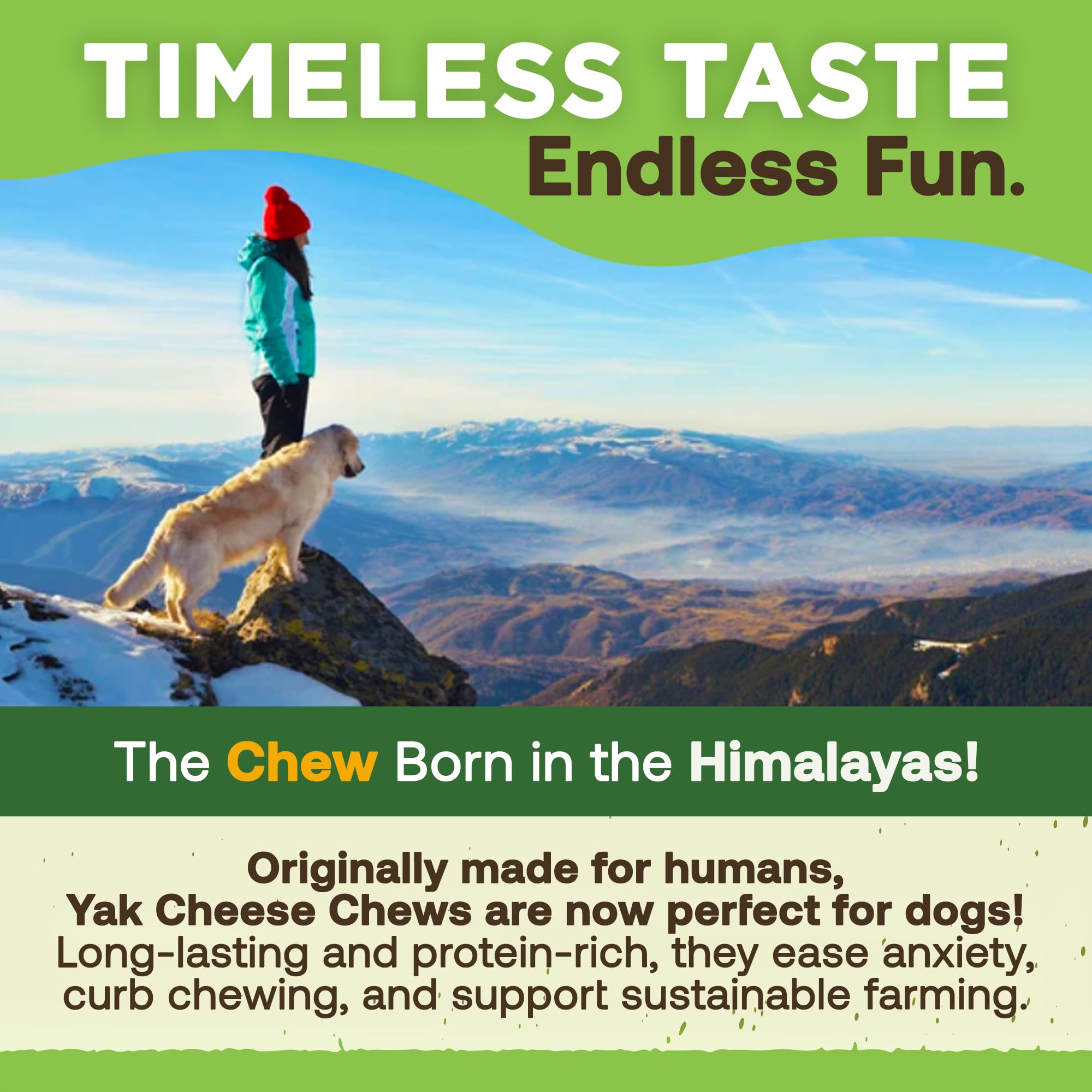 EcoKind Premium Gold Monster Yak Cheese Himalayan Dog Chew long-lasting treat for extended chew sessions