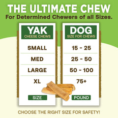 EcoKind Premium Gold Monster Yak Cheese Himalayan Dog Chew odorless indoors or outdoors, a versatile chew option