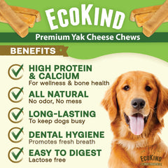EcoKind Premium Gold Monster Yak Cheese Himalayan Dog Chew oversized bite demonstrates jumbo size for long-lasting entertainment