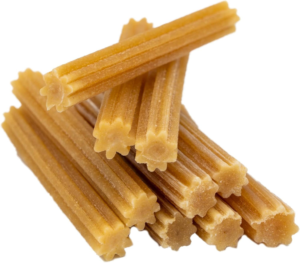 EcoKind Premium Gold churro chews dog-chewing image demonstrates long-lasting indoor entertainment