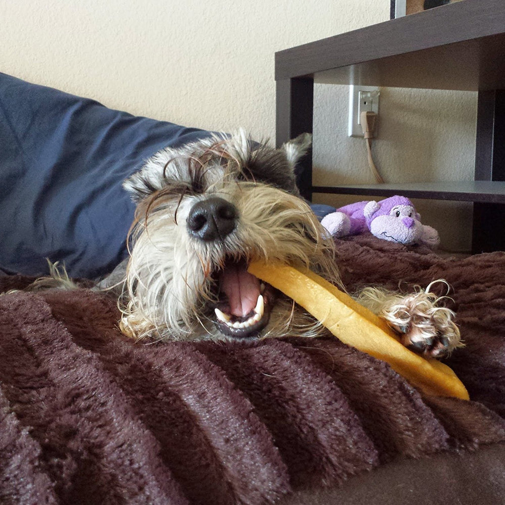 EcoKind Premium Gold Yak Chews packaging shows convenient two-chews-per-pack.