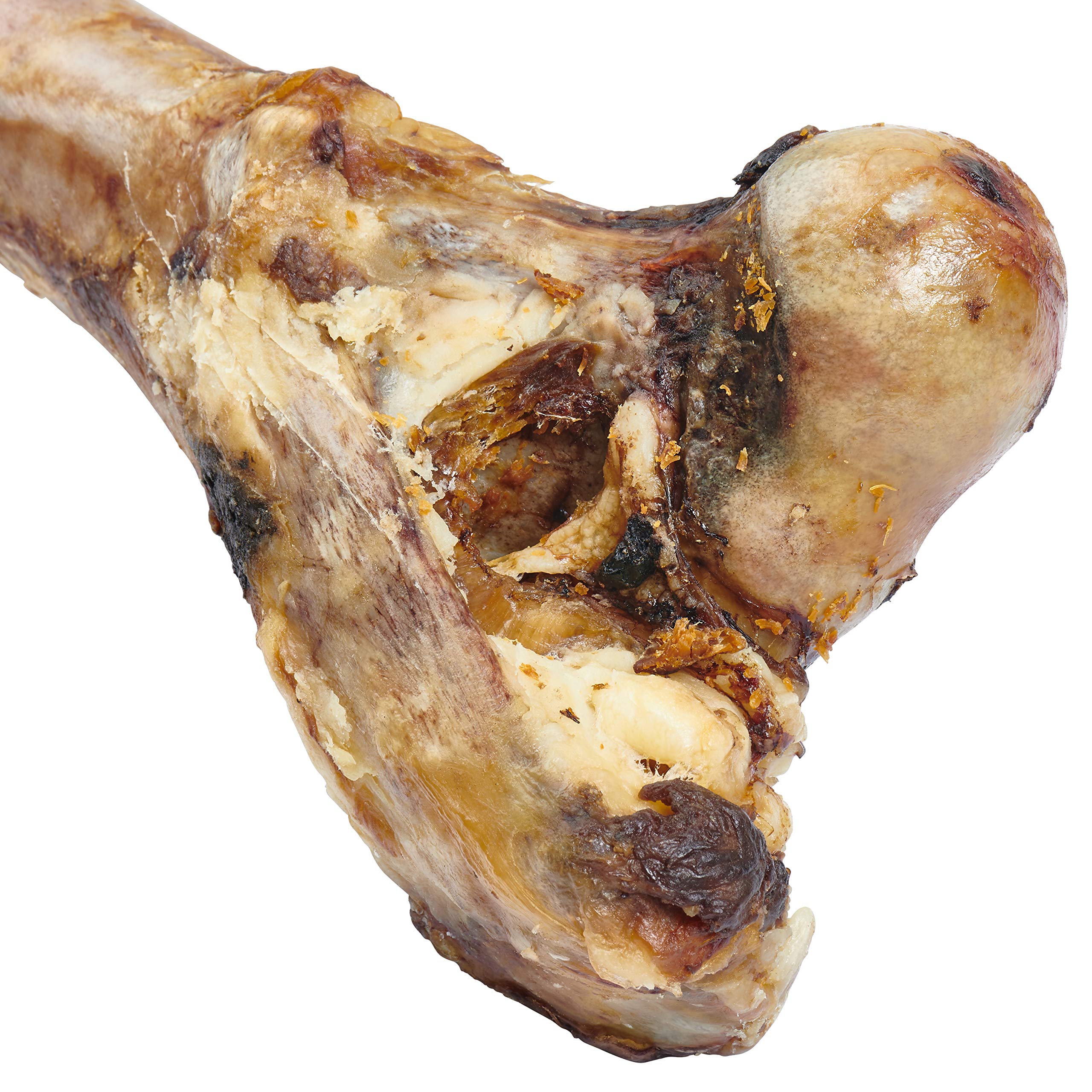 EcoKind Rawhide-Free Dog Treat — a safer alternative for crunchy chews.