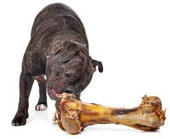 EcoKind Smoked Flavor Dog Bone — appealing aroma and flavor during chew time.