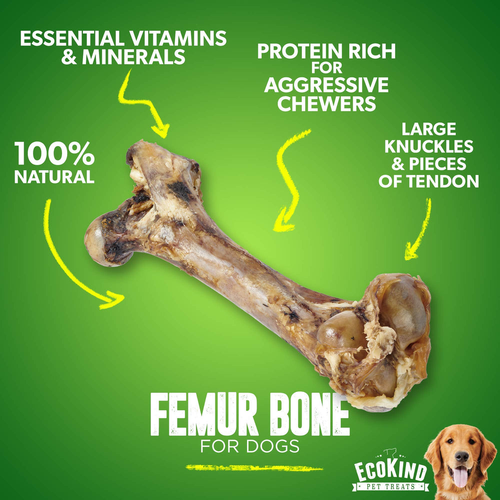 EcoKind Tendon and Meat Detail — realistic texture for satisfying gnaw sessions.