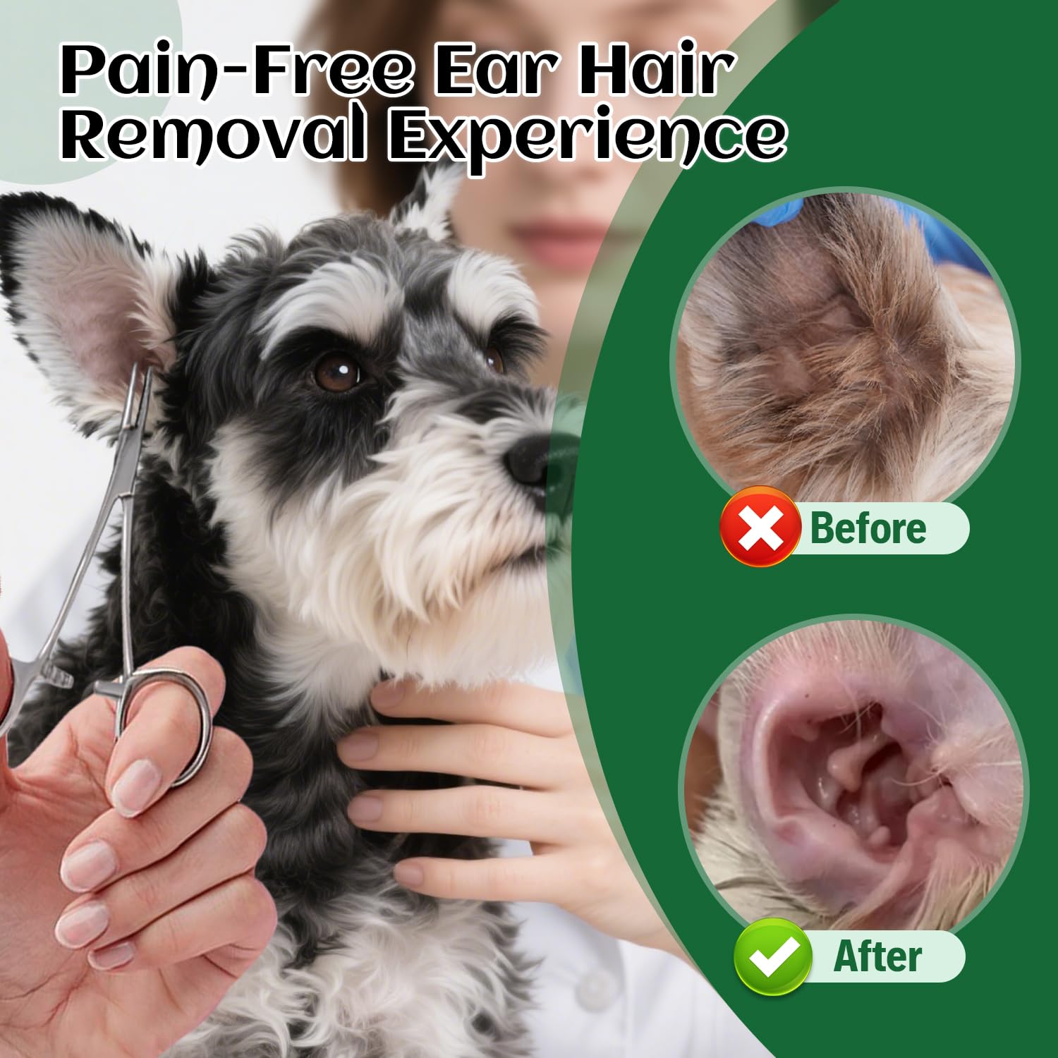 EcoStylife schnauzer ear care setup showcases at-home grooming.
