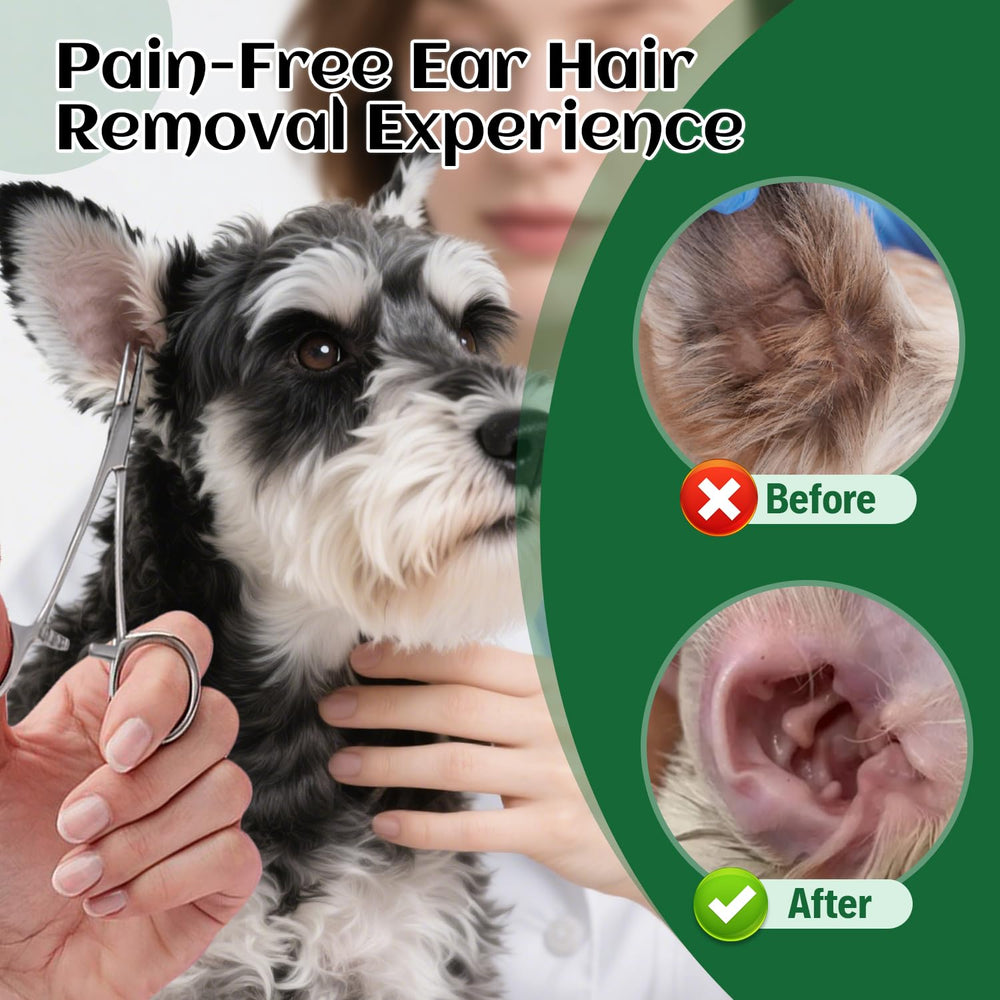EcoStylife schnauzer ear care setup showcases at-home grooming.