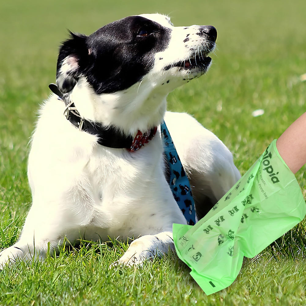 EcoTopia tear-free removal method demonstrated for one-handed dispensing