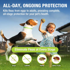 EcoVenger Flea Collar adjustable buckle for secure, comfortable wear