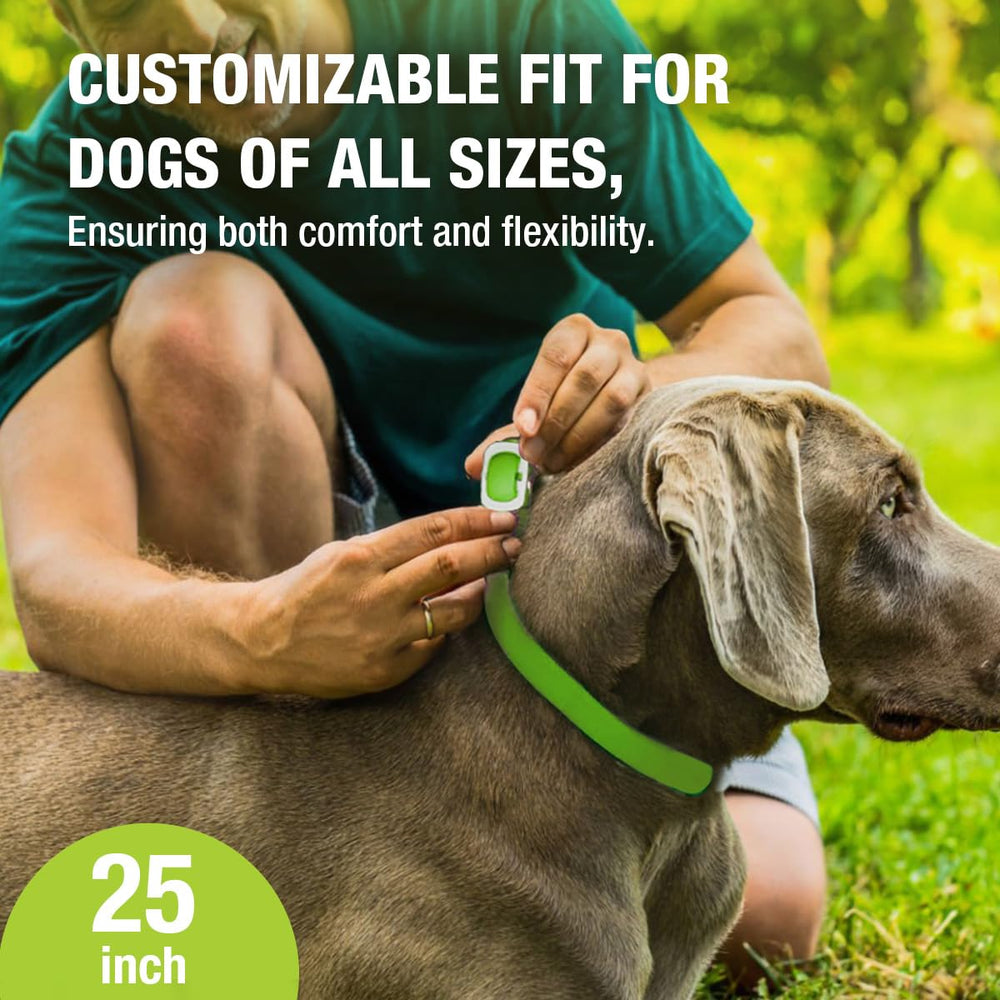EcoVenger Flea Collar waterproof feature for outdoor adventures