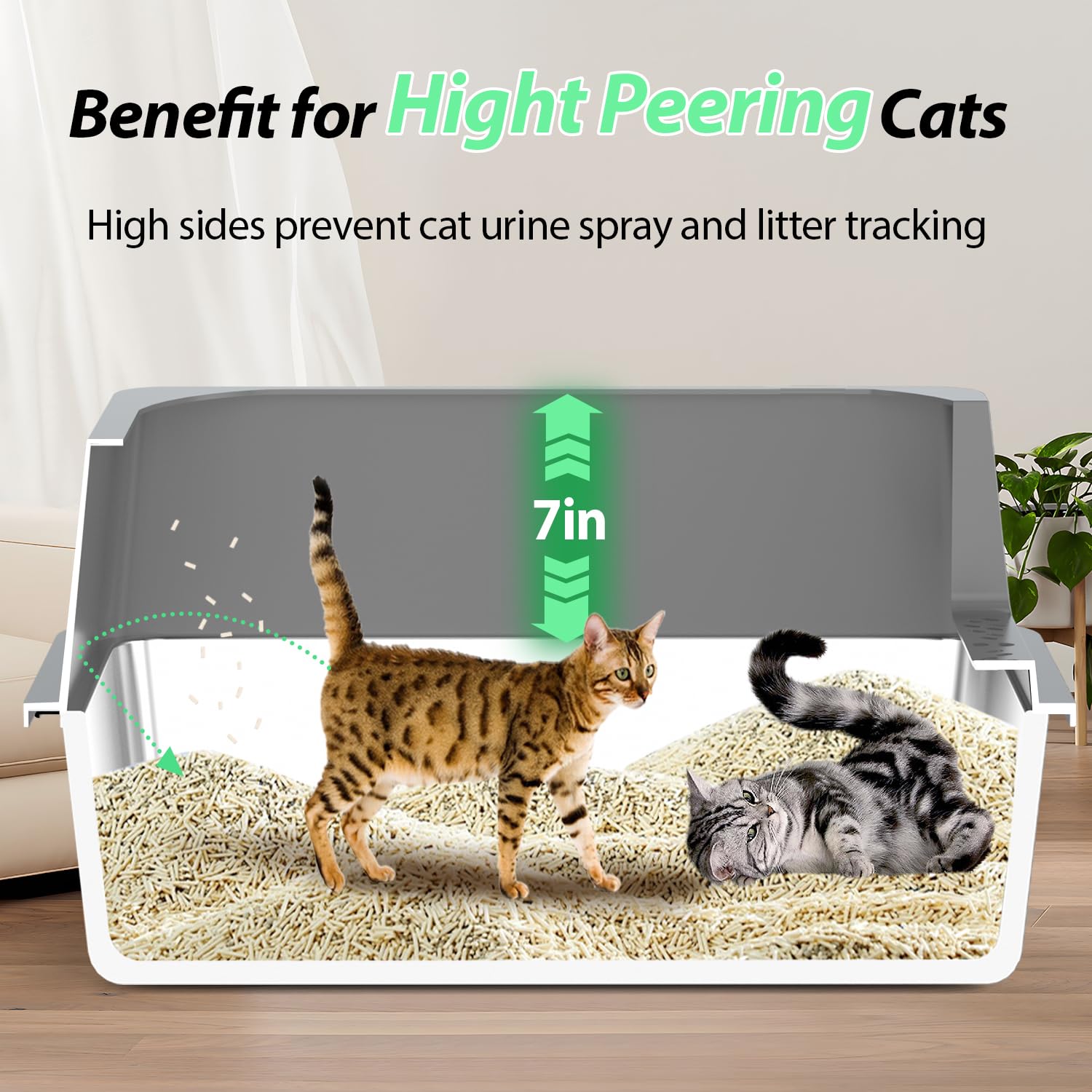 Ecsdsvsd XXXXL spacious interior demonstrates comfortable turning for multiple cats