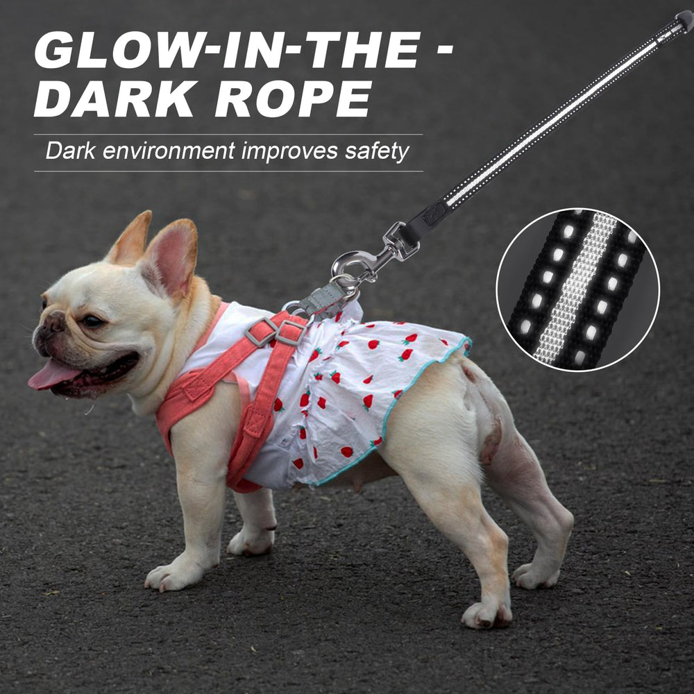 EC.TEAK retractable dog leash 20ft on beach use highlighting sand-friendly performance.
