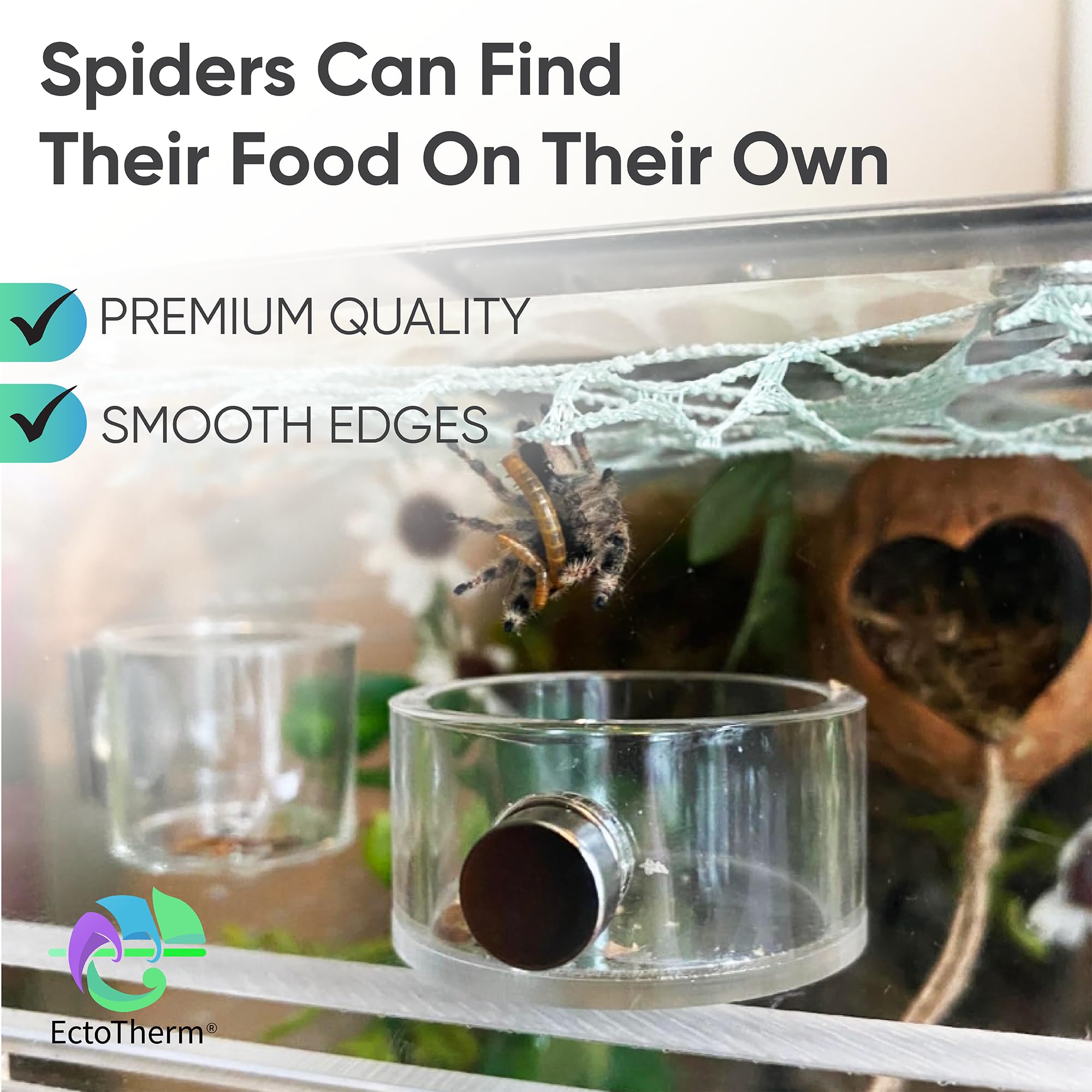 EctoTherm Feeding Dish on glass enclosure supports natural hunting observations.