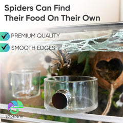 EctoTherm Feeding Dish on glass enclosure supports natural hunting observations.