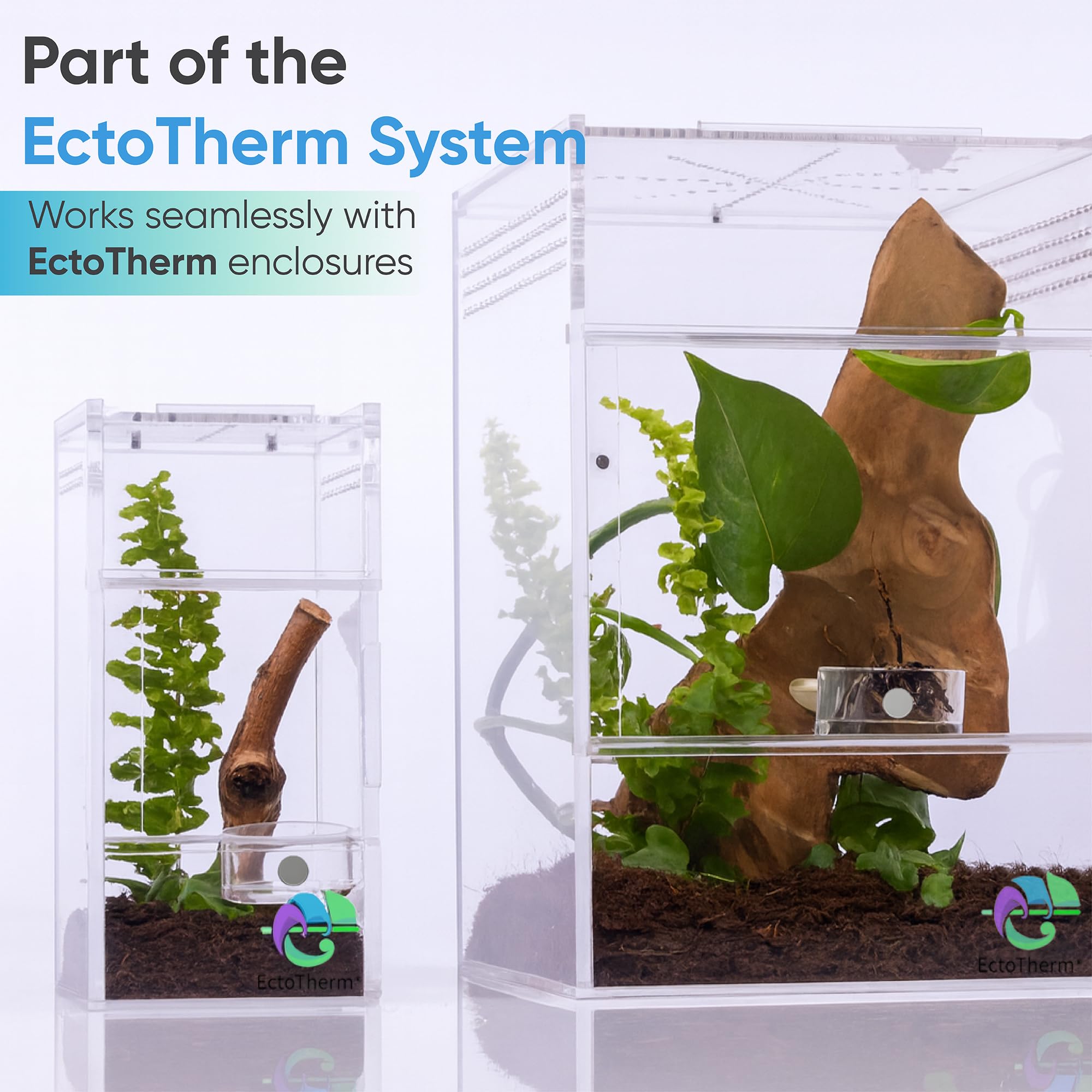 EctoTherm Jumping Spider terrarium decor dish complements habitat aesthetics.