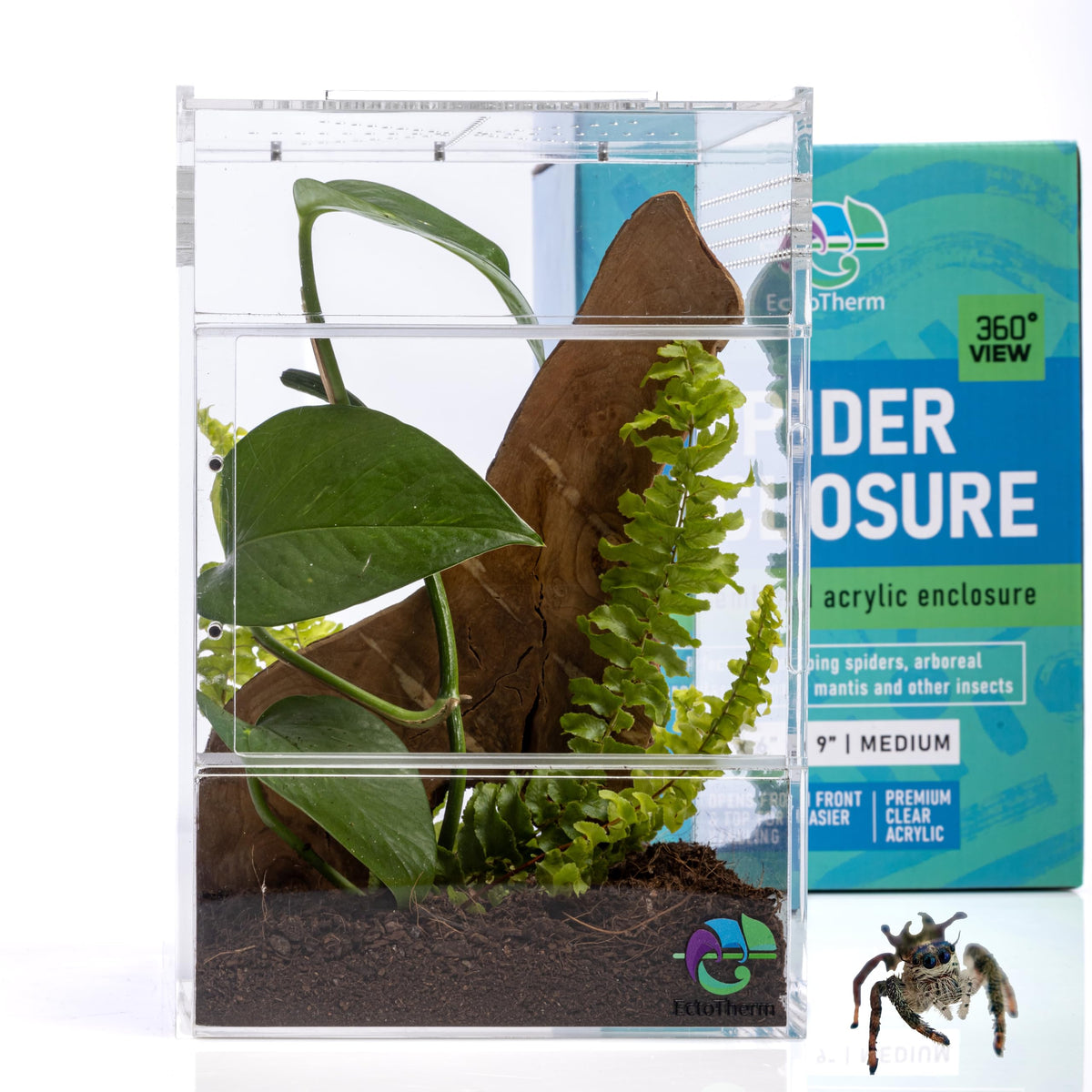 EctoTherm jumping spider enclosure front view showing secure containment.