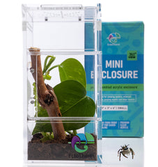 EctoTherm Jumping Spider Enclosure front view shows clear access for easy maintenance.