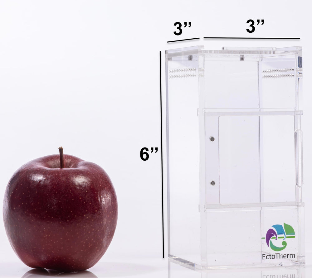 EctoTherm Jumping Spider Enclosure side view reveals sturdy acrylic and visibility for monitoring.
