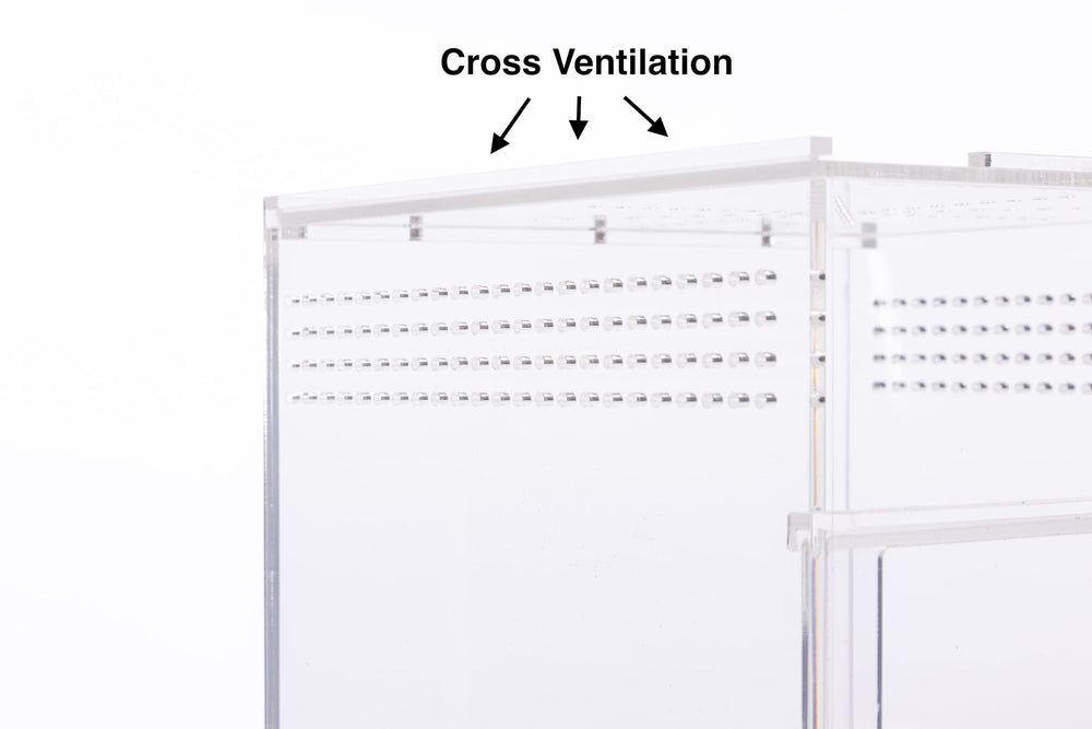 EctoTherm jumping spider enclosure terrarium kit use scenario.