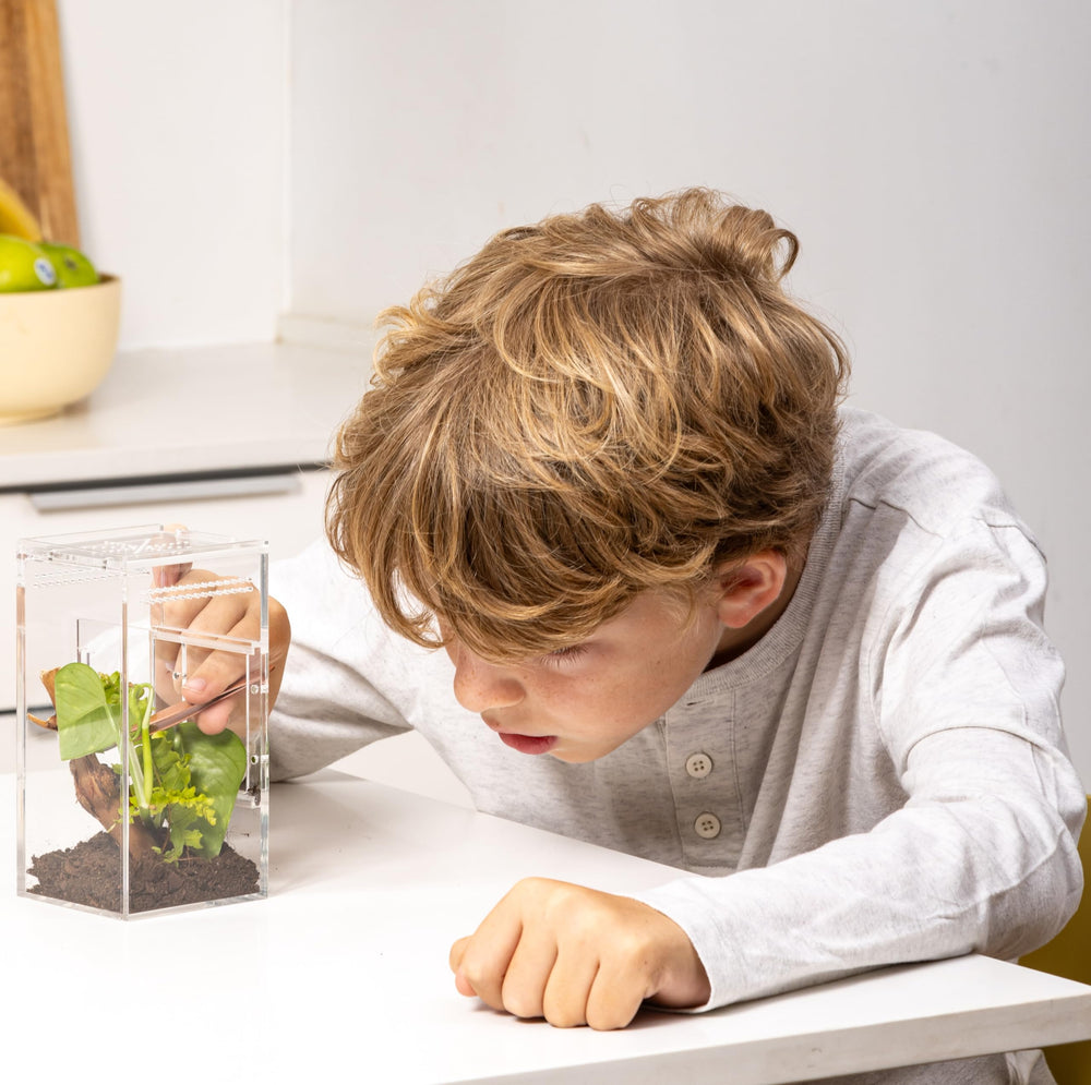 EctoTherm Jumping Spider Enclosure top view highlights 360-degree visibility for observation.