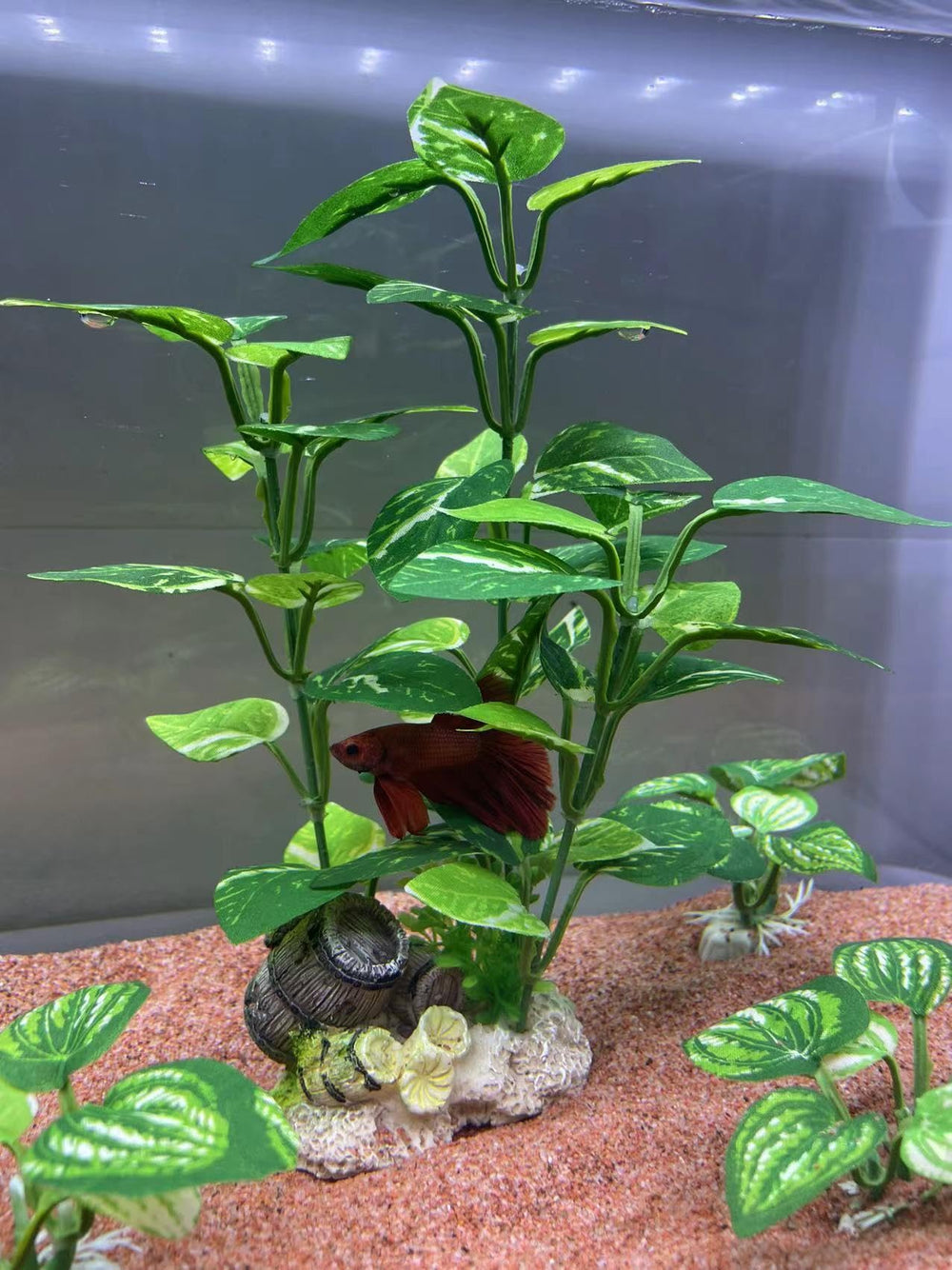EDGCTYU fish-tank decor green plastic pack7 for versatile, easy-to-clean setups.