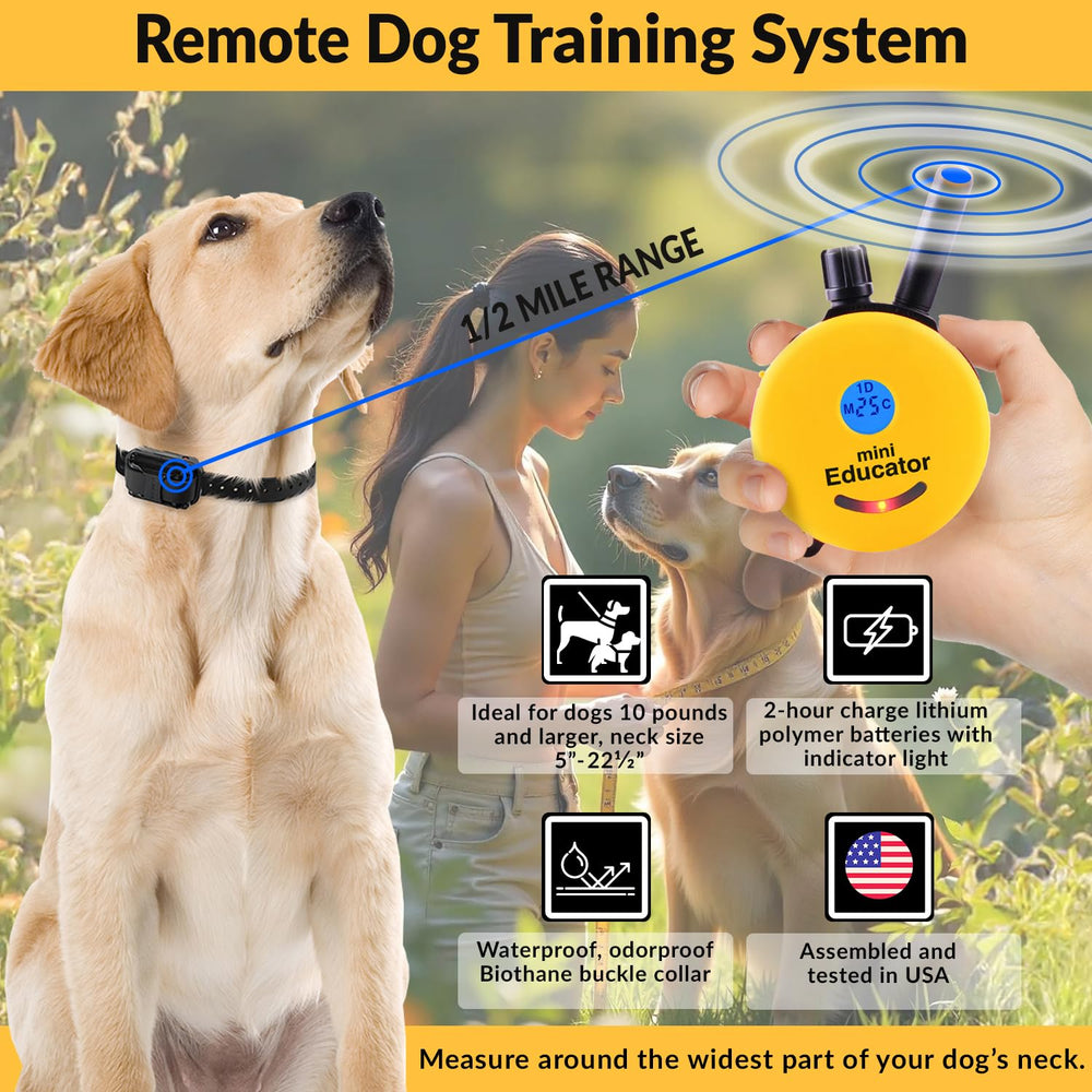Educator Biothane collar, waterproof and durable for all-day wear and outdoor activities