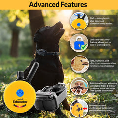 Educator E-Collar mini receiver designed for small-to-medium dogs during calm obedience training