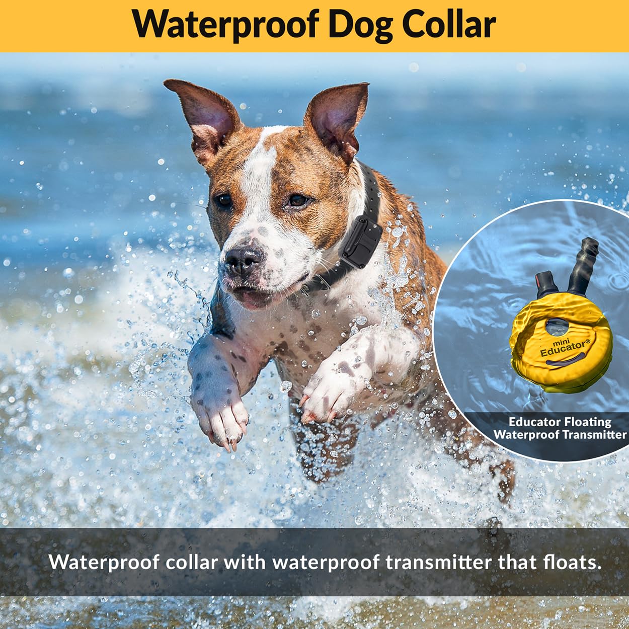 Educator E-Collar waterproof design supports training in wet conditions and after baths